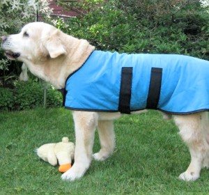 Dog Cool Coat size 71cm