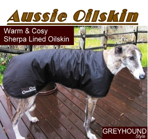 Cool Coat greyhound style