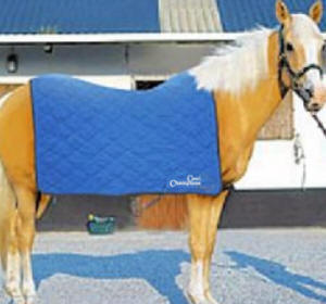 Silver Eagle Cooling Horse Sheet
