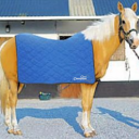 Cooling Horse Blanket