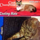 Cooling Mat for Cats