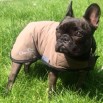 Winnie wearing her cool coat